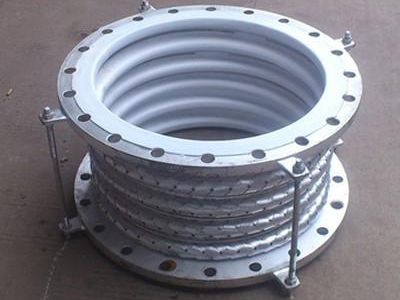 四氟波纹补偿器